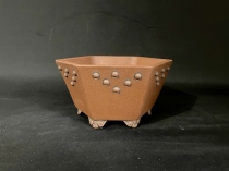 Pot 4437
